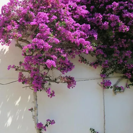 Rocas - Casa Diaz * Roses